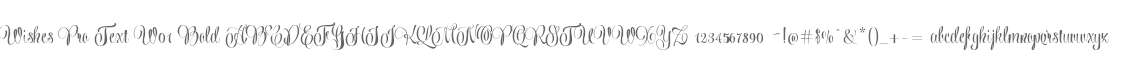 Wishes Pro Text W01 Bold