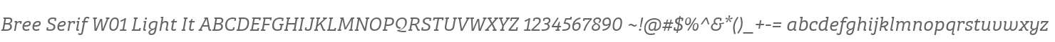 Bree Serif W01 Light It