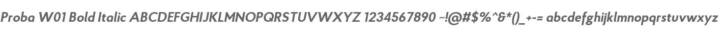 Proba W01 Bold Italic