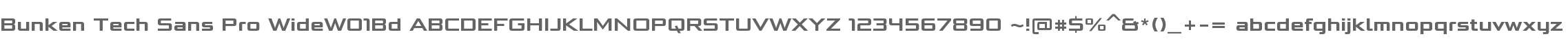 Bunken Tech Sans Pro WideW01Bd