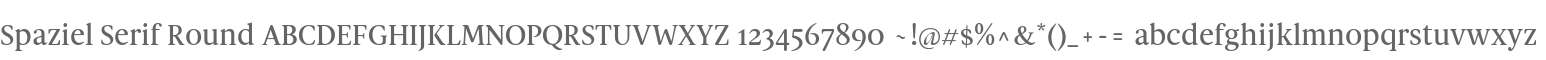 Spaziel Serif Round