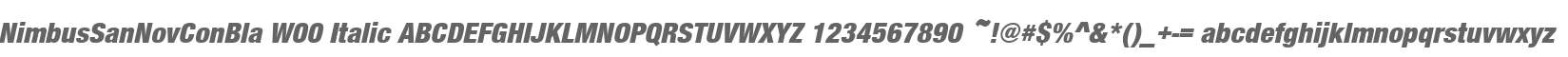 NimbusSanNovConBla W00 Italic