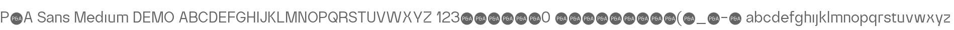 P&A Sans - DEMO Medium
