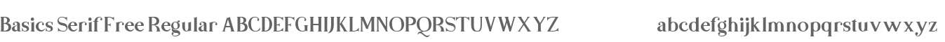 Basics Serif Free Regular