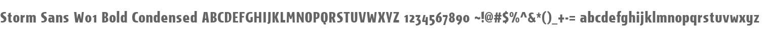 Storm Sans W01 Bold Condensed