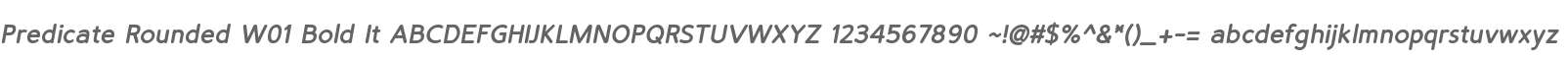 Predicate Rounded W01 Bold It