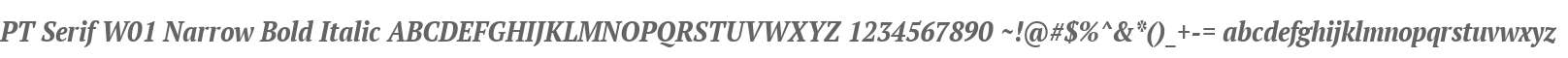PT Serif W01 Narrow Bold Italic