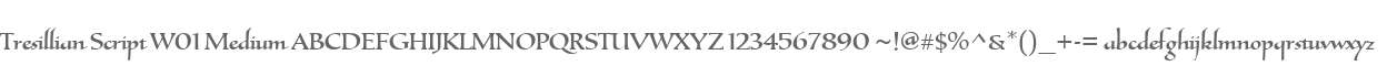 Tresillian Script W01 Medium