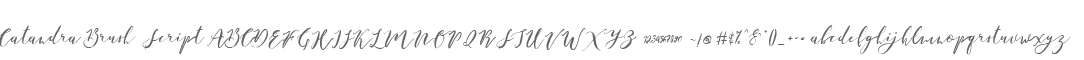 Catandra Brush Script