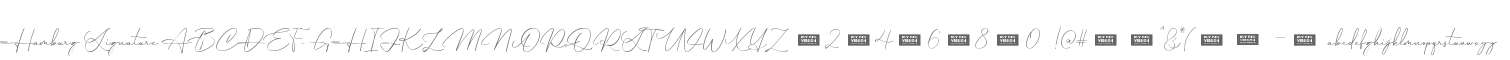Hamburg Signature