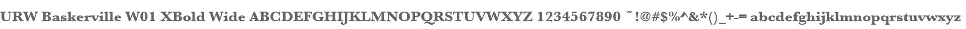 URW Baskerville W01 XBold Wide