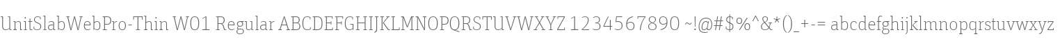 UnitSlabWebPro-Thin W01 Regular