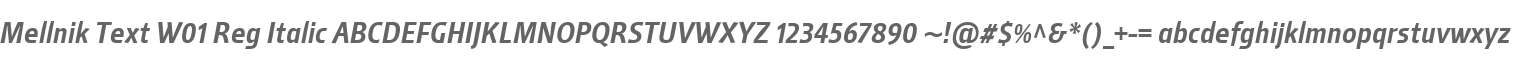 Mellnik Text W01 Reg Italic