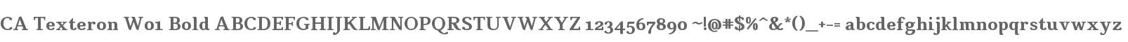 CA Texteron W01 Bold