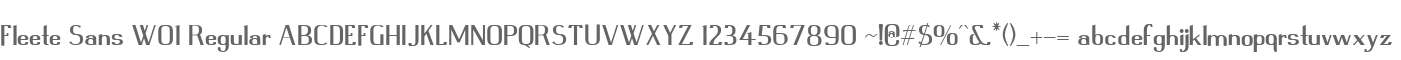 Fleete Sans W01 Regular
