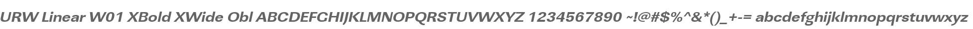 URW Linear W01 XBold XWide Obl