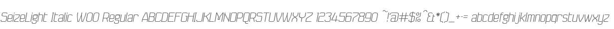 SeizeLight Italic W00 Regular