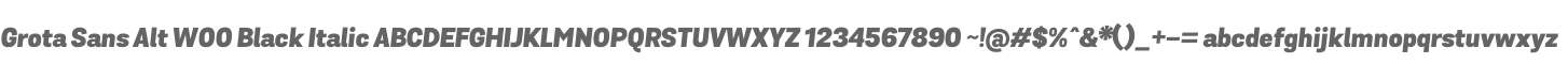 Grota Sans Alt W00 Black Italic