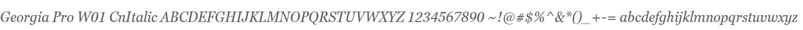 Georgia Pro W01 CnItalic