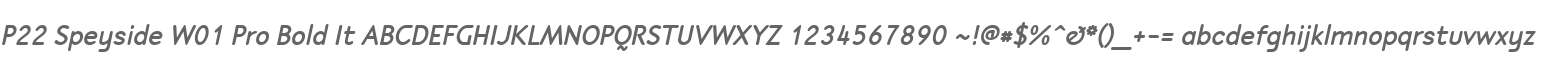 P22 Speyside W01 Pro Bold It