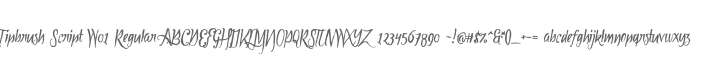 Tipbrush Script W01 Regular