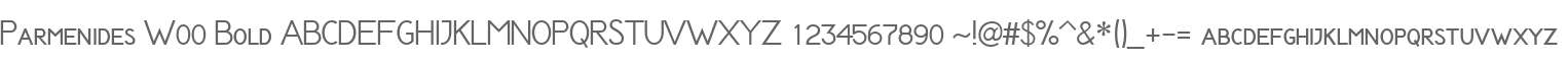 Parmenides W00 Bold