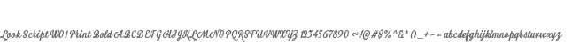 Look Script W01 Print Bold