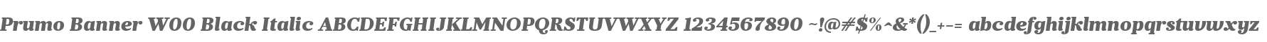 Prumo Banner W00 Black Italic