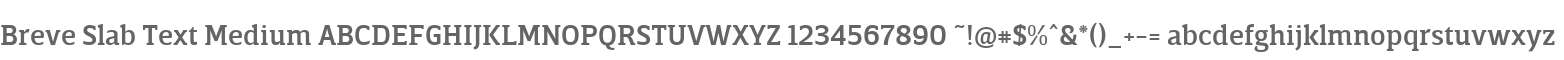 BreveSlabText-Medium