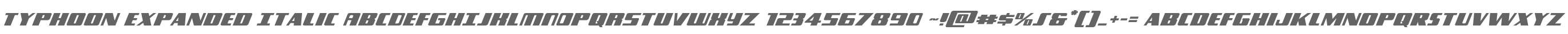 Typhoon Expanded Italic