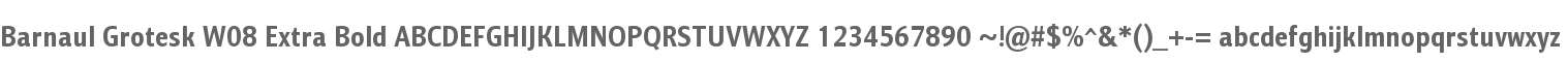 Barnaul Grotesk W08 Extra Bold