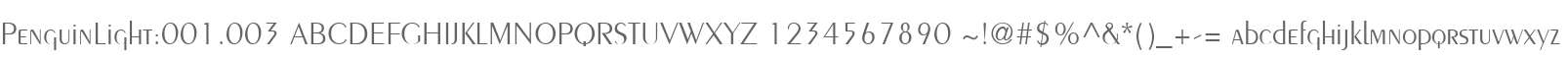 PenguinLight:001.003