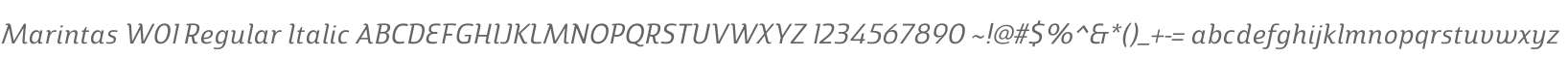 Marintas W01 Regular Italic