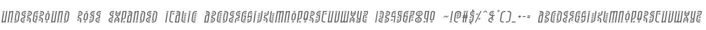 Underground Rose Expanded Italic