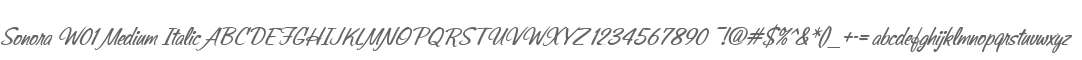 Sonora W01 Medium Italic