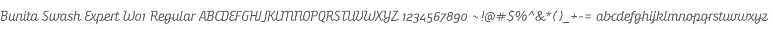 Bunita Swash Expert W01 Regular