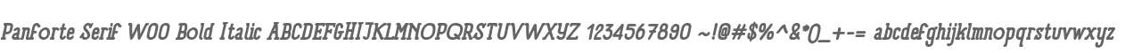 Panforte Serif W00 Bold Italic