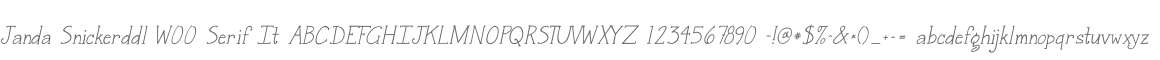 Janda Snickerddl W00 Serif It