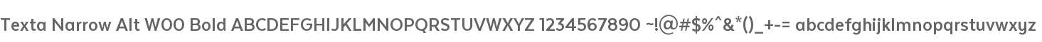 Texta Narrow Alt W00 Bold