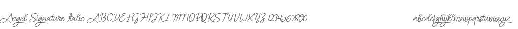 Angel Signature Italic