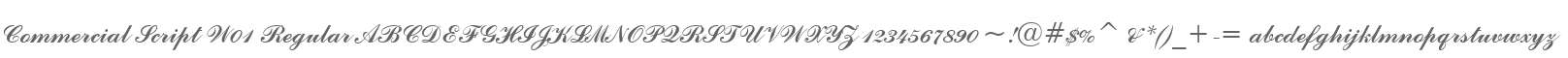 Commercial Script W01 Regular