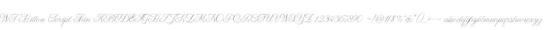 WT Hilton Script Thin