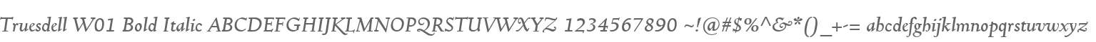 Truesdell W01 Bold Italic