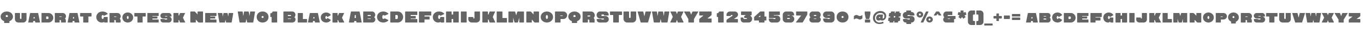 Quadrat Grotesk New W01 Black