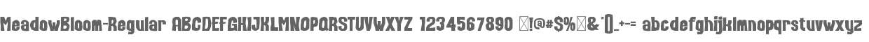 Meadow Bloom