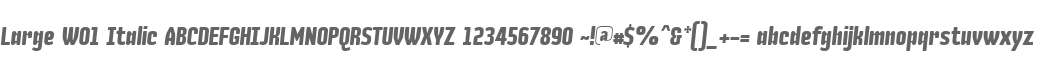 Large W01 Italic