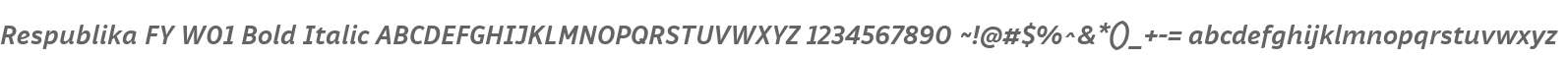 Respublika FY W01 Bold Italic
