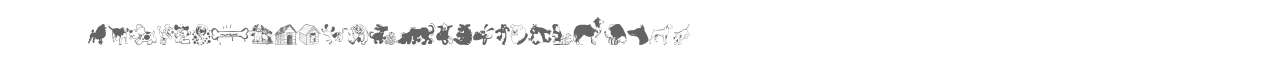 dog_csp