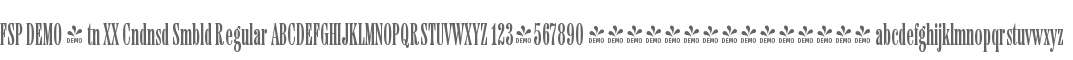 FSP DEMO - tn XX Cndnsd Smbld