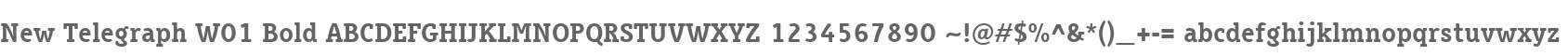 New Telegraph W01 Bold
